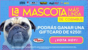 Byers Import Cutest Pet Contest Spanish