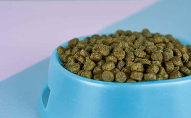 Dog food in bowl on pink and blue background. Close up.